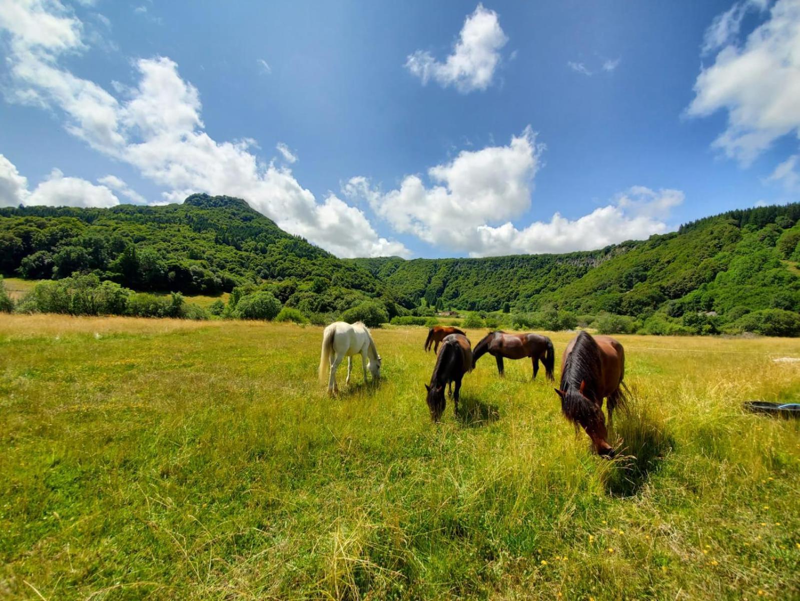 Sancy Resort Chambon-sur-Lac Exterior foto